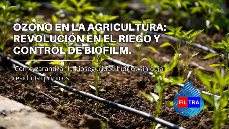 Ozono en linea de riego y biofilm