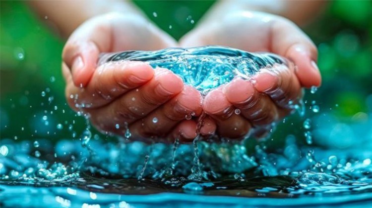 22 de Marzo - D&iacute;a Mundial Del Agua