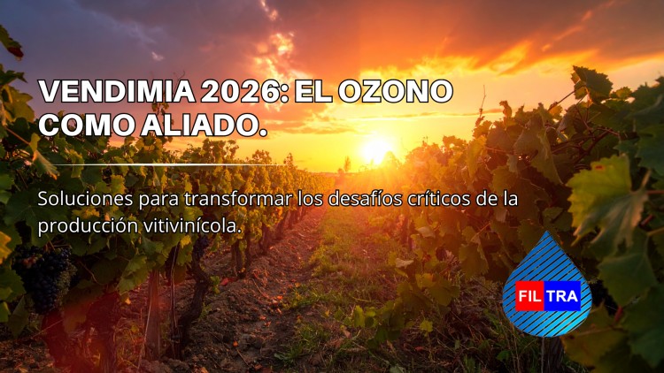 C&oacute;mo el Ozono transforma los desaf&iacute;os cr&iacute;ticos de la producci&oacute;n vitivin&iacute;cola